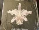KINGS OF LEON AHA SHAKE HEARTBREAK SEALED 2X 10-INCH CLEAR VINYL HMD40 EU IMPORT
