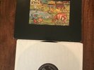 THE CRUCIFUCKS  self titled punk rock hardcore pogo 12 inch vinyl alternative te