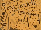 Psychedelic Unknowns Vol.2, 7-inch x 2, 33-1/3 vinyl. Great condition  RARE