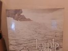 LAMB OF GOD RESOLUTION 2LP STILL SEALED  VINYL RECORD PANTERA