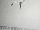 (2 DIFF. VERSIONS ) LITTLE WHITE WONDER lps Bob Dylan MINT imports