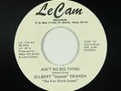 Sweet Soul 45 - Gilbert Coyote Deanda - Ain't No Big Thing - Le Cam - VG+ mp3