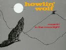 Howlin Wolf - Moanin In The Moonlight (Vinyl LP - 1958 - US - Reissue)