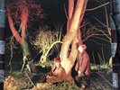 Echo And The Bunnymen Crocodiles Sire Vinyl EX-