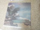Budgie ?– Never Turn Your Back On A Friend Vinyl LP - 2012 - Swedish Import