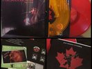THE REAL McKENZIES Shine,Not Burn LP Color Vinyl FAT WRECK-punk nofx lagwagon