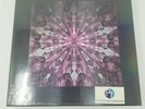 [US] BLACKPINK 1ST VINYL LP [THE ALBUM] LIMITED EDITION BOX SET (Sealed)