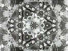 Atomic Forest-