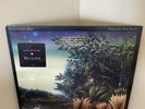 Fleetwood Mac: Tango In The Night (Orig. ‘87 Specialty Pressing) Vinyl. VG+