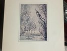 Bill Evans You Must Believe In Spring original 1981 Warner Brothers HS-3504 NM