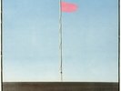 Wire - Pink Flag