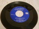 THE DANDERLIERS 1ST PRESS VINYL 45  