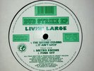 Grant Nelson - Livin' Large ‎– Dub Strike EP / UK Garage / Rise 'n' Shine