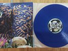 JELLYFISH BELLYBUTTON BLUE VINYL LP RARE OOP 180G JASON FALKNER BEATLES SOLD OUT