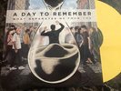 What Separates Me from You by A Day to Remember (Vinyl, Feb-2011, Victory...