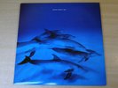EX/EX   Frazier Chorus/Ray/1991 Virgin 2x LP Set