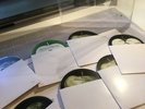 The Beatles White Album