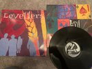 The Levellers RARE Vinyl LP