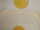 Public Enemy Original 1994 Double LP Test Pressings 