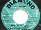 45 RPM SURF THE BEACHCOMBERS, SURFIN' THE SUMMER AWAY / THIS IS MY LOVE