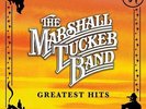 MARSHALL TUCKER BAND - GREATEST HITS NEW VINYL