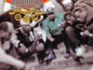 DIAMOND D: STUNTS BLUNTS & HIP HOP (LP vinyl *BRAND NEW*.)
