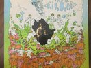 The New Wave  Self-titled Canterbury Mono LP Psych Rock 1967