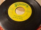The Royal Jesters 45 We Go Together I Want You Round Texas Chicano Garage Soul