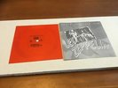 Led Zeppelin - Misty Mountain Hop -  Soviet Flexi Disc