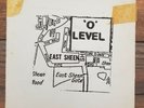 'O' Level east sheen 1978 punk super rare origional ( TV personalities )