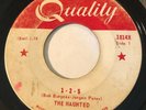 GARAGE PUNK The Haunted 1-2-5 Quality 45 rare KILLER Canadian