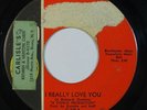 Northern Soul 45 DEE DEE SHARP I Really Love You/Standing In The Need on Cameo