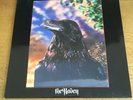 THE STRANGLERS The Raven 1979 3D  A1 B1  PORKY PRIME  BANNED IMAGE  VGC