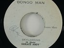 Horace Andy 