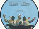 THE BEATLES U.K. ISSUE PARLOPHONE PIC DISC  I AM THE WALRUS  b/w  HELLO GOODBYE