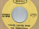 THE VIBRATIONS**'CAUSE YOUR MINE**SOUL**DANCER**EPIC LABEL**HEAR IT