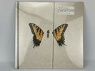 Paramore Brand New Eyes Limited Edition Vinyl Yellow Opaque w/ Black Swirl New