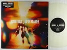Manitoba - Up In Flames LP - Leaf UK Clear Wax 1st Press NM Poster