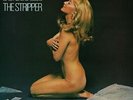 David Rose And His Orchestra* - The Stripper (LP)