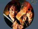 Harry Potter & The Chamber Of Secrets Picture Disc   Vinyl Record   Brand New