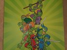 TMNT Teenage Mutant Ninja Turtles The Arcade Game Record LP Vinyl Nintendo NES
