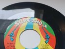 The Malibus - Gee Baby (I Love You) - Northern Soul - US Sure Shot RE-ISSUE 7