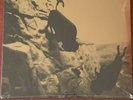U2 - ONE 1992 US SEALED 3 TRACK 12” Vinyl/Maxi-Single with SATELLITE OF LOVE + 1