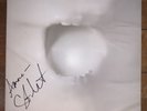 AUTOGRAPHED Strange Mercy by St. Vincent (Vinyl, Sep-2011, 4AD (USA))