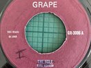 KING HORROR The Hole Lover Come Back GRAPE GR3006 TMX469/473 1969 Aitken EX-