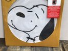 Peanuts Greatest Hits: Vince Guaraldi Trio - Vinyl - (READ)