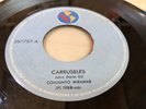 45 RPM CUMBIA GUAGUANCO VALLENATO GAITA SALSA PASEO COLOMBIA TROPICAL ECUADOR VG