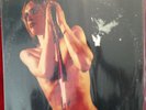 Iggy and the Stooges   (