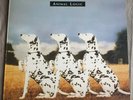 Animal Logic-Animal Logic S/T 12'' LP 1989 UK Prince, Jamiroquai,The Used *VG+*