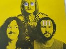 Bonzo Dog Doo-Dah Band - Tadpoles (LP, Album)